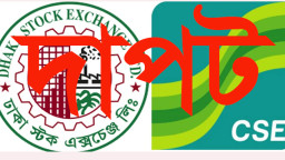 উভয় স্টক এক্সচেঞ্জে ৭ প্রতিষ্ঠানের দাপট