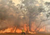 তীব্র তাপপ্রবাহের কারণে দাবানলের আশঙ্কা অস্ট্রেলিয়ায়