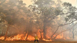 তীব্র তাপপ্রবাহের কারণে দাবানলের আশঙ্কা অস্ট্রেলিয়ায়